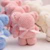Towel Bear Gift