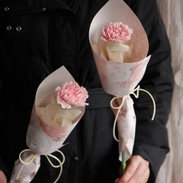 Single Stalk Fresh Carnation