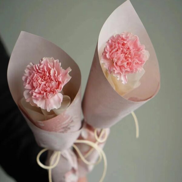 Single Stalk Fresh Carnation