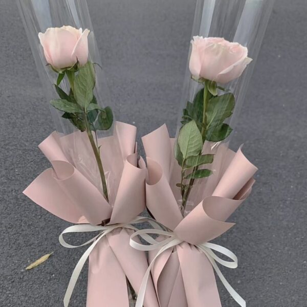 Single Stalk Fresh Rose