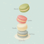 Macaron Favor Box (2-Piece)